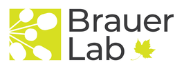 Brauer Lab